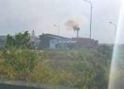 Desak KLHK RI dan GAKKUM LHK Agar Proses Hukum PT. Utama Agrindo Mas (UAM)