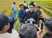 Kepala Bulog Unaaha Menyerap Gabah Petani Sebanyak 33.762 Ton Dari Target Gabah 34.768 Ton