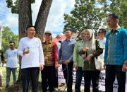 Presiden Prabowo Sumbang Sapi Qurban Seberat 950 Kg untuk Warga Lambuya