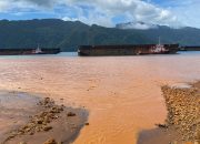 *EN IMMO Sebut PT. Paramitha Persada Tama Jadi Biang Kerusakan Di Areal Pulau Labengki*