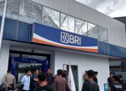Himpunan Aktivis Muda Konawe Desak BRI Cabang Unaaha Evaluasi Lelang Agunan Rumah Nasabah
